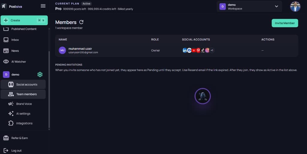 Members page with Invite Member button, owner row, and Pending invitations empty state